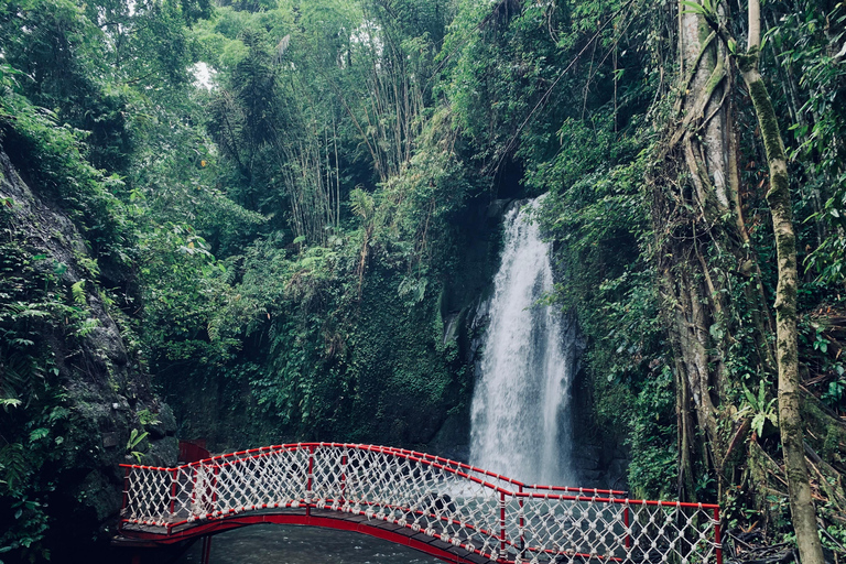 Ubud : Sacred Monkey Forest, Waterfall, Temple & Swing Tour Full-Day Tour Without Entry Fees