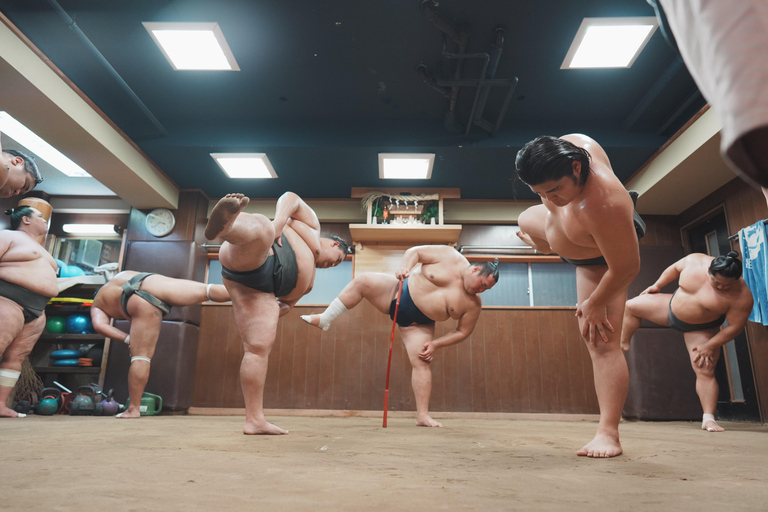 Tokyo: Sumo Keiko Training Tour with Audio Guide & Photo 90mins Sumo Afternoon Training at 3PM - Standard