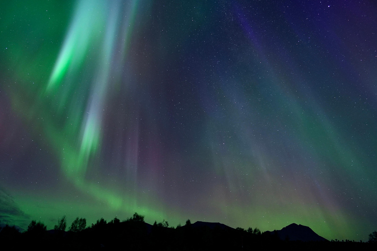 Tromsø: Northern Lights Tour with Free Professional Photos