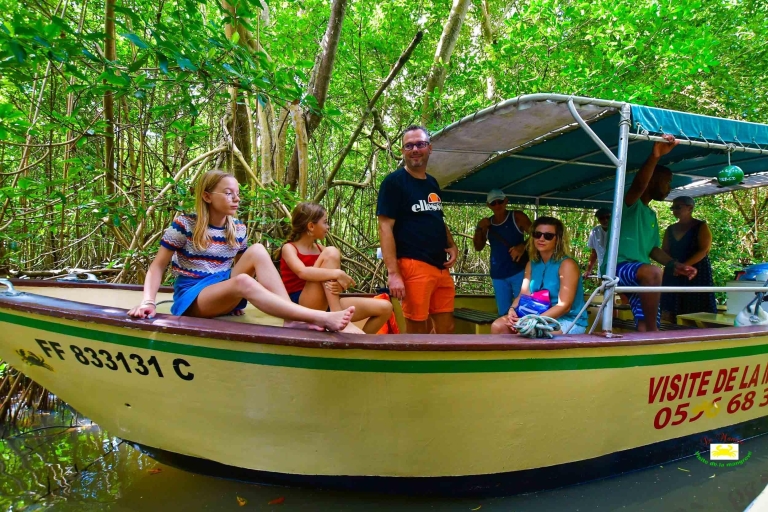 Martinica: Tour en barco por los manglares desde Les Trois-Îletschamp spécial