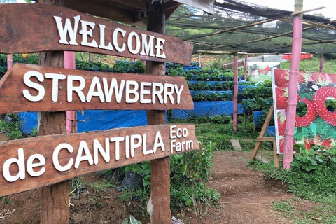 Cebu: Trans-central Highway Mountain Tour