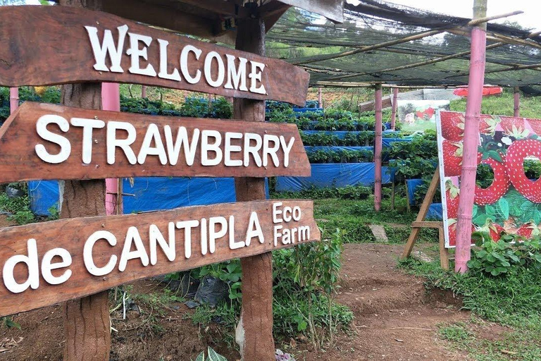 Cebu: Trans-central Highway Mountain Tour