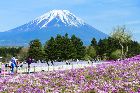 Mt.Fuji:Lake Kawaguchi,Yamanaka & Onsen Day Tour From Tokyo 8:00am pick-up at Marunouchi North Exit