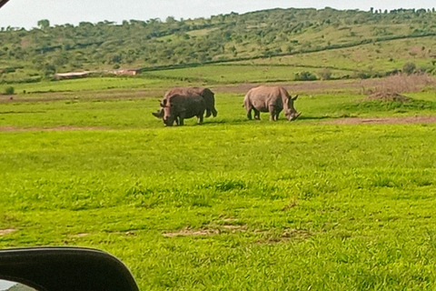 Kigali: Akagera National Park Full-Day SafariDay trip Akagera national park