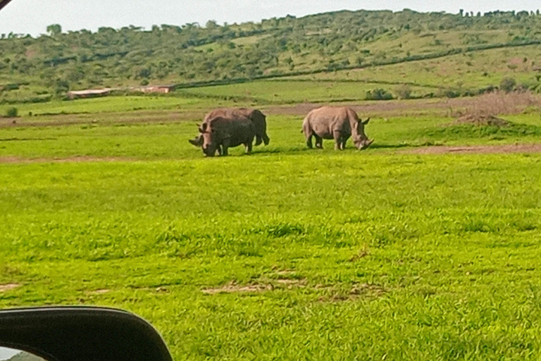 Kigali: Akagera Nationaal Park meerdaagse safariDagtrip Akagera nationaal park