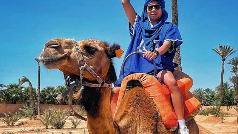 Depuis Marrakech : balade à dos de chameau dans l'oasis de la Palmeraie - dromadaire