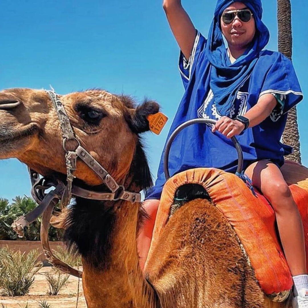 Depuis Marrakech : balade à dos de chameau dans l'oasis de la Palmeraie - dromadaire