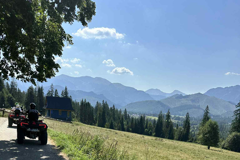 Zakopane: Snowmobile, Quad, or Buggy Tatra Mountains Tour