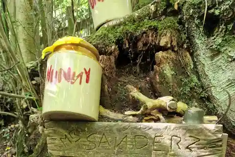 Vanuit Londen: Winnie-the-Pooh's Honderd Bunder Bos Dagtocht