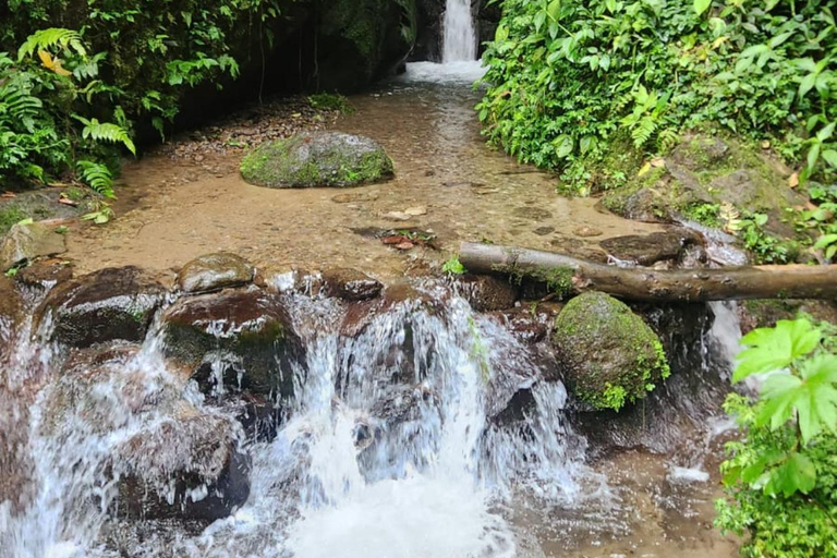 Total Adventure in Mindo - Full day