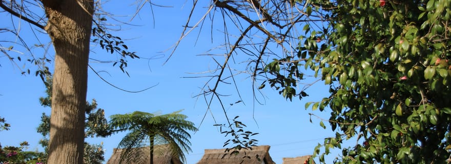 Madère : Voyage en cabriolet sur la côte est