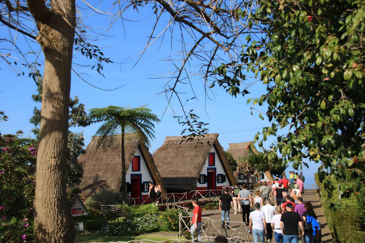 Madeira: East Coast Cabriolet Road Trip