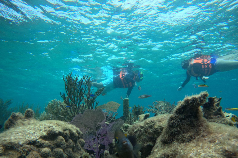 Cancun: Morze i dżungla - prywatna wycieczka do Puerto Morelos