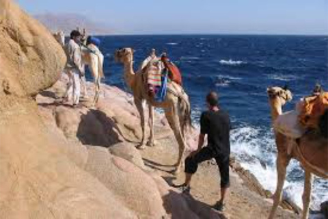 Sharm: 3 Pools Dahab Tour, Quad, Camel, Red Canyon & Lunch 3 Pools Tour, Camel, Red Canyon included Lunch