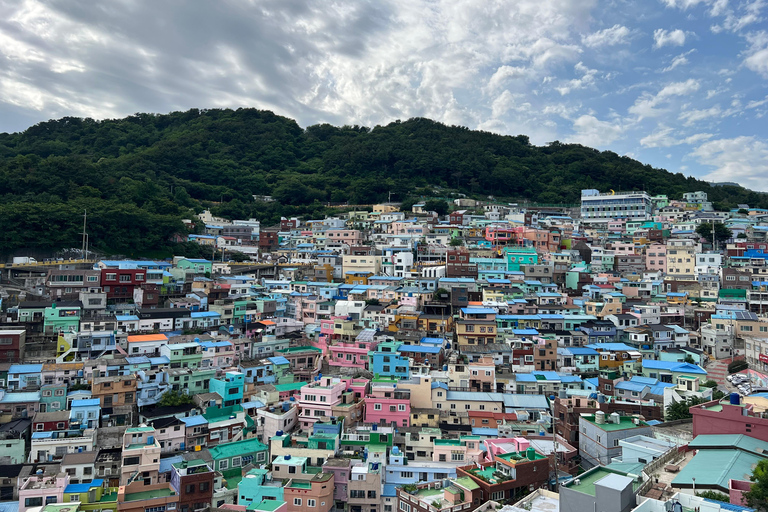 Busan: Top Attractions Tour for Cruise Guests For Busan Cruise Guest Highlight Top Attraction Group Tour