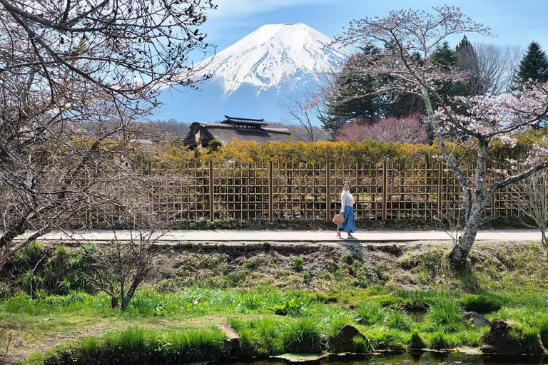 Desde Tokio: Tour en inglés de un día entero por el Monte Fuji digno de Instagram