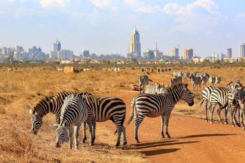 Nairobi National Park Day Game Drive.