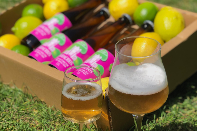 Brussels: beer tasting workshop in a micro brewery