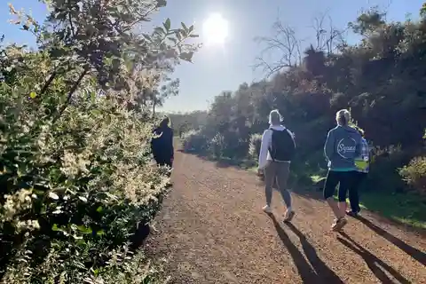 Perth: Swan View Tunnel, Falls, and Eagle View Hike