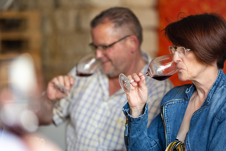 Chablis Clotilde Davenne visit and tasting in english Visite et dégustation Chablis en anglais