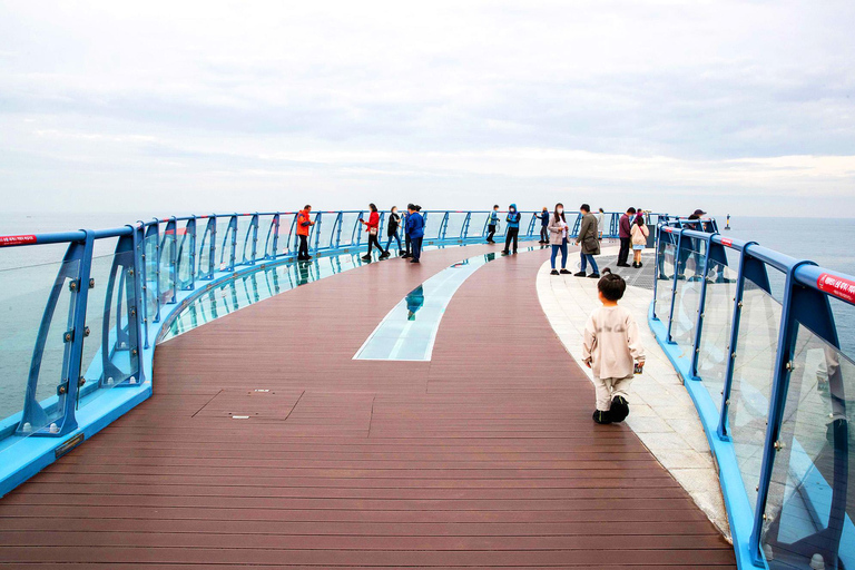 Busan Day Tour from Daegu:6 Highlights with Gamcheon Village Daegu ➔ Daegu Drop-off