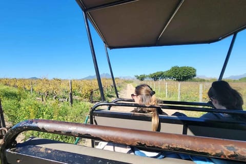 Cape Town: Stellenbosch Safari, Wine Tour, & Bo-Kaap Visit