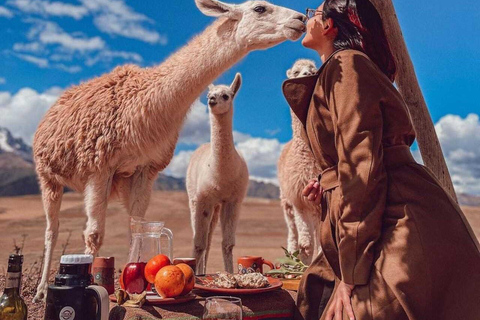 Cusco: privé-picknick met uitzicht op de Heilige Vallei, lama&#039;s en Maras &amp; MorayCusco: Picknicklunch (3 gangen), lama&#039;s en Maras &amp; Moray