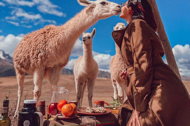 Cusco: privé-picknick met uitzicht op de Heilige Vallei, lama&#039;s en Maras &amp; MorayCusco: Picknicklunch (3 gangen), lama&#039;s en Maras &amp; Moray