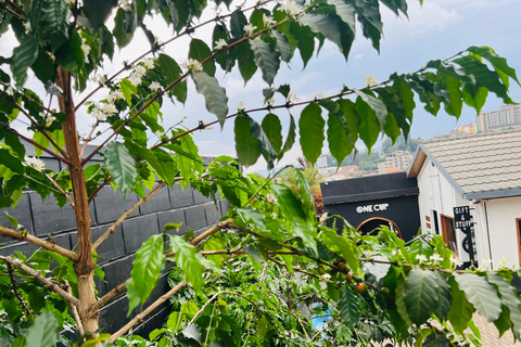 Kigali: Traditional Coffee MasterClass from Farm to Cup