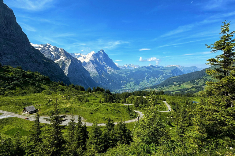جولة بدراجة كهربائية في وادي روزنلاوي من إنترلاكن