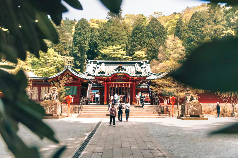 Nara: Private Car Tour with Pickup from Osaka or Kyoto