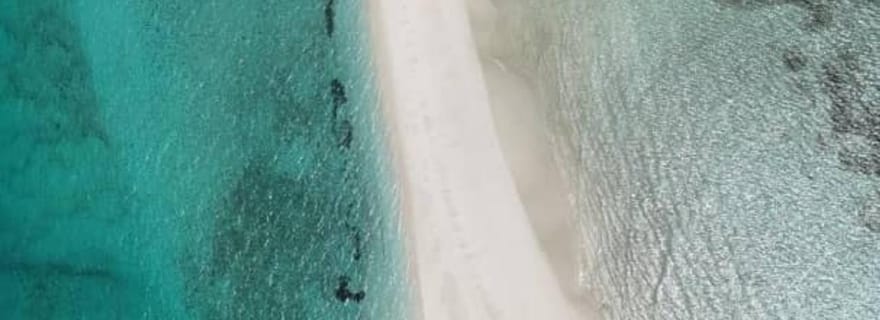 Zanzibar : safari bleu à l'île de Kwale, plongée et déjeuner au barbecue