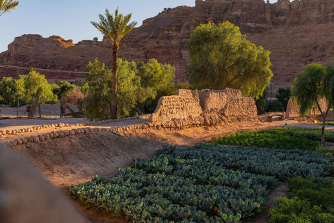 Oasis Adventure in Alula