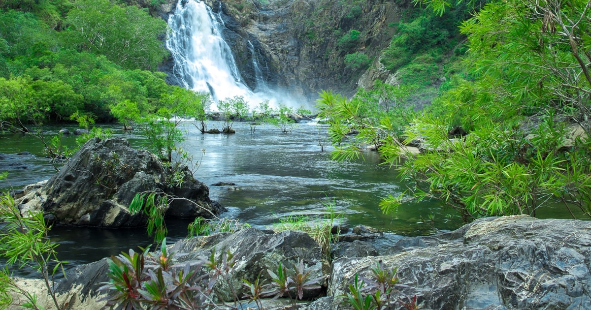 Daintree Rainforest Австралия