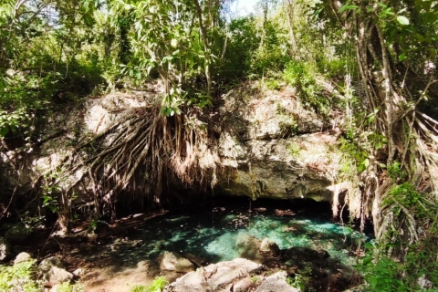 Bayahibe: Cotubanama Park und Cenotes Chicho SchnorcheltourBayahibe: Cotubanama Wanderung und Cenoten Chicho Schnorcheltour