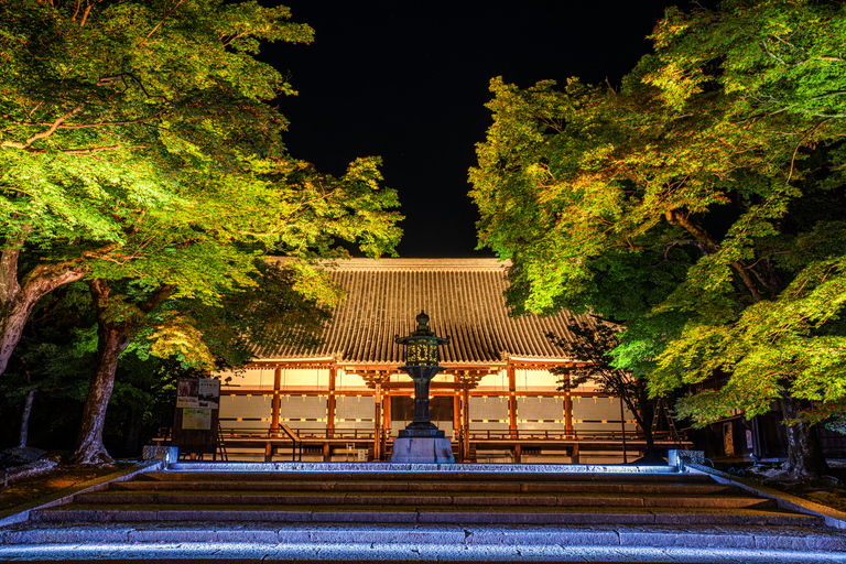 Ninnaji Temple: Special Entry for Unkai Light-up & Kannon-do Unkai (cloud sea) Light-up Entry Ticket