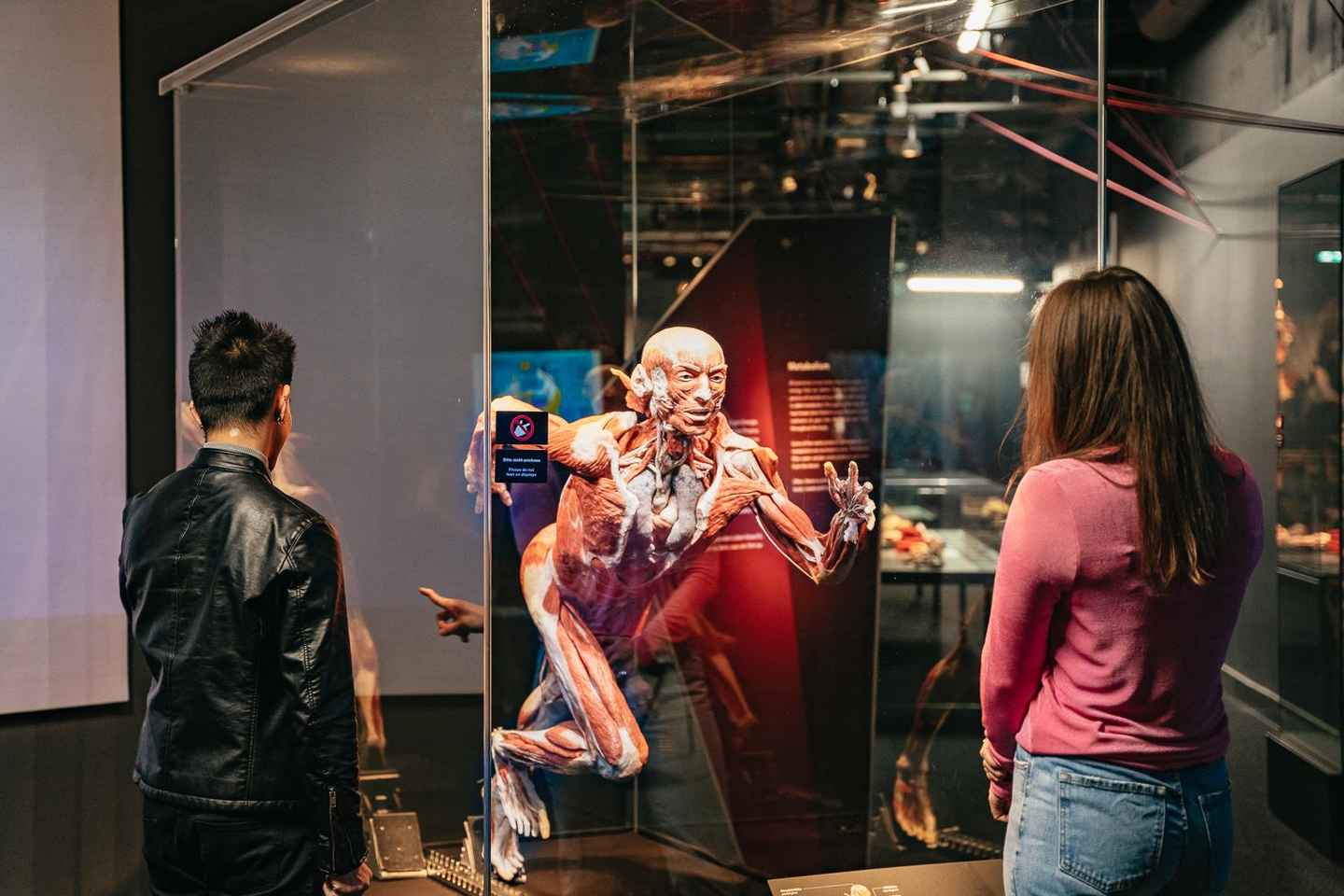 베를린: BODY WORLDS 전시회 입장권 구매 가이드