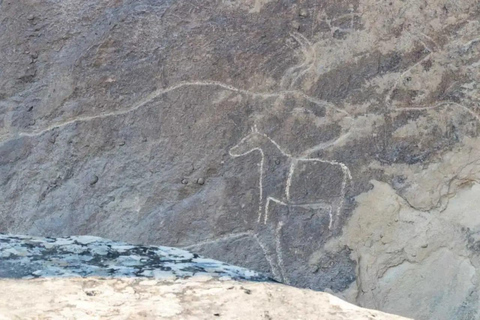 Tour privato di Qobustan, Vulcano di Fango, Ateshgah e Yanardag