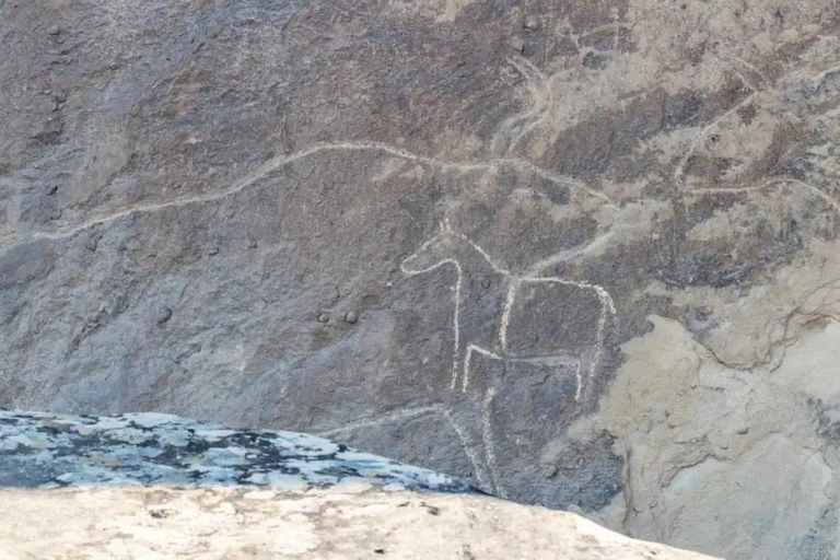 Visite privée du Qobustan, du volcan de boue, de l&#039;Ateshgah et du Yanardag