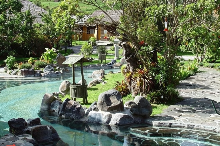 Quito: Spa at Termas de Papallacta, Polylepis Forest, Lagoon, and Snow-Capped Mountain Quito: Spa at Termas de Papallacta, Polylepis Forest, Lagoon, and Mountain