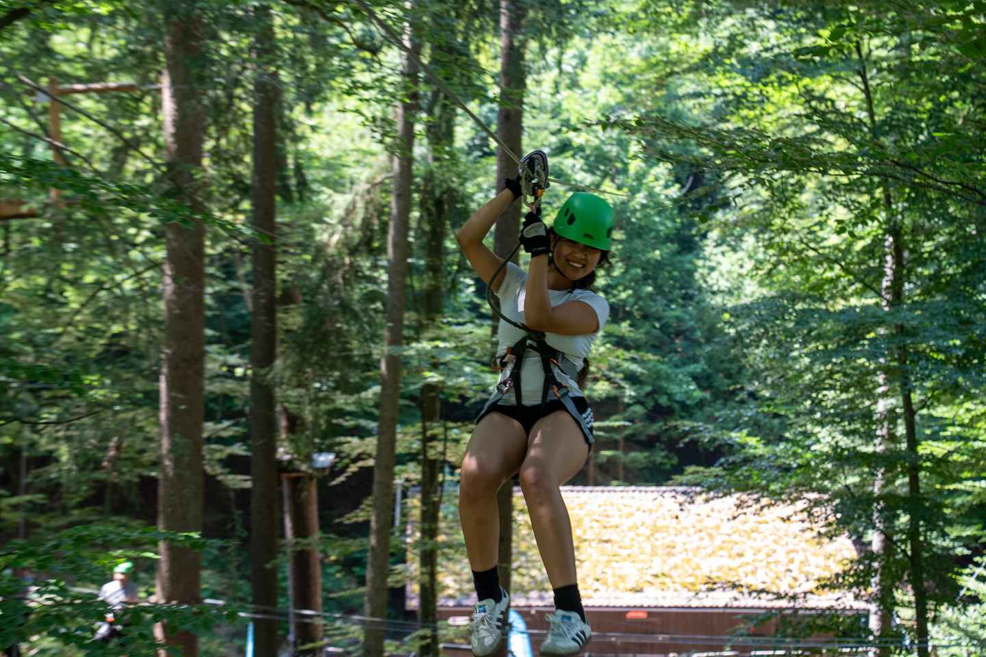 Parc Aventure Interlaken : Escalade et Billet Inclus