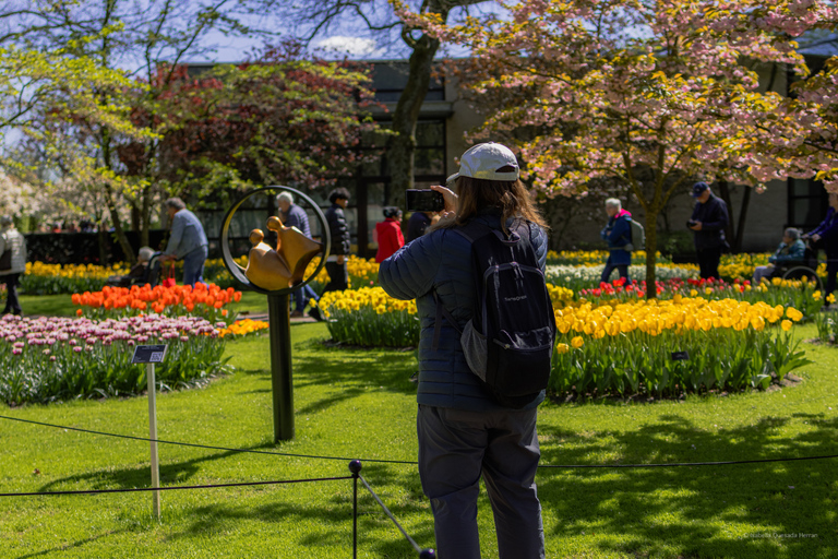 From Rotterdam and The Hague: Bus Tour with Keukenhof Ticket