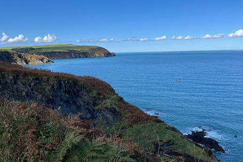 Cardiff: Pembrokeshire Coast & St. Davids Private Voyage
