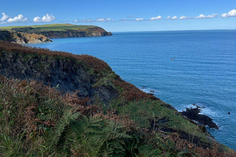Cardiff: Pembrokeshire Coast & St. Davids Private Voyage