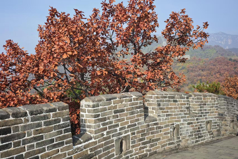 Beijing: Private Roundtrip Transfer to Mutianyu Great Wall Beijing Hotel Departure