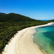 Cairns: Cape Tribulation, Beaches, Crocs & Swimming Day Tour Cairns: Cape Tribulation, Beaches, Crocs & Swimming Day Tour