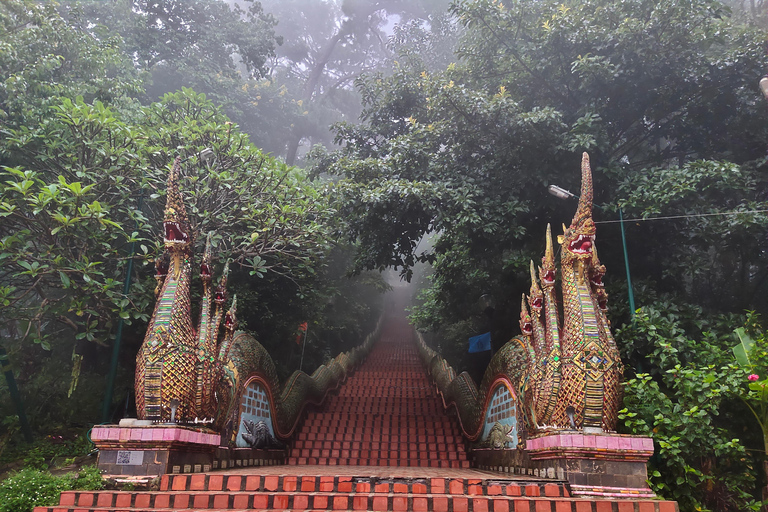 Nascer do sol espiritual: Wat Pha lat , esmolas, meditação e cânticos