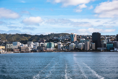 Wellington: Commentated Harbour Explorer tour Commentated Harbour Tour of Wellington Harbour
