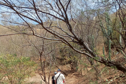 Santa Marta Abenteuer in Taganga