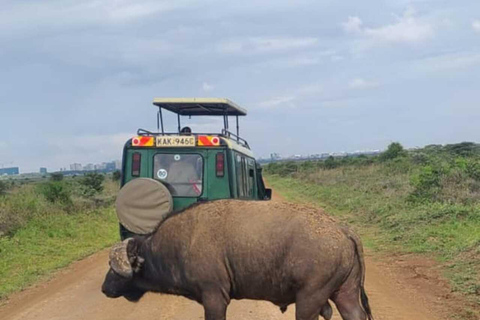 Nairobi National Park Safari Game Drive in a 4x4 Nairobi: National Park 5 Hours Safari in a Shared 4x4 Jeep